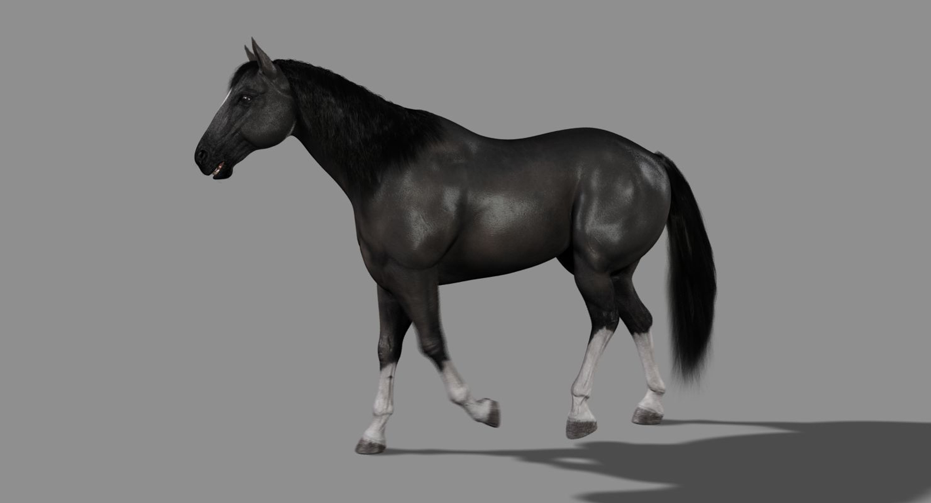 horse black fur animation ma https://p.turbosquid.com/ts-thumb/ZK/eadgTT/MjwtESeA/walk/jpg/1431951669/1920x1080/turn_fit_q99/4ad324248017ed8b07e0763bf59c2150e9bab152/walk-1.jpg