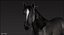 Horse (Black) (Animated) (Fur)