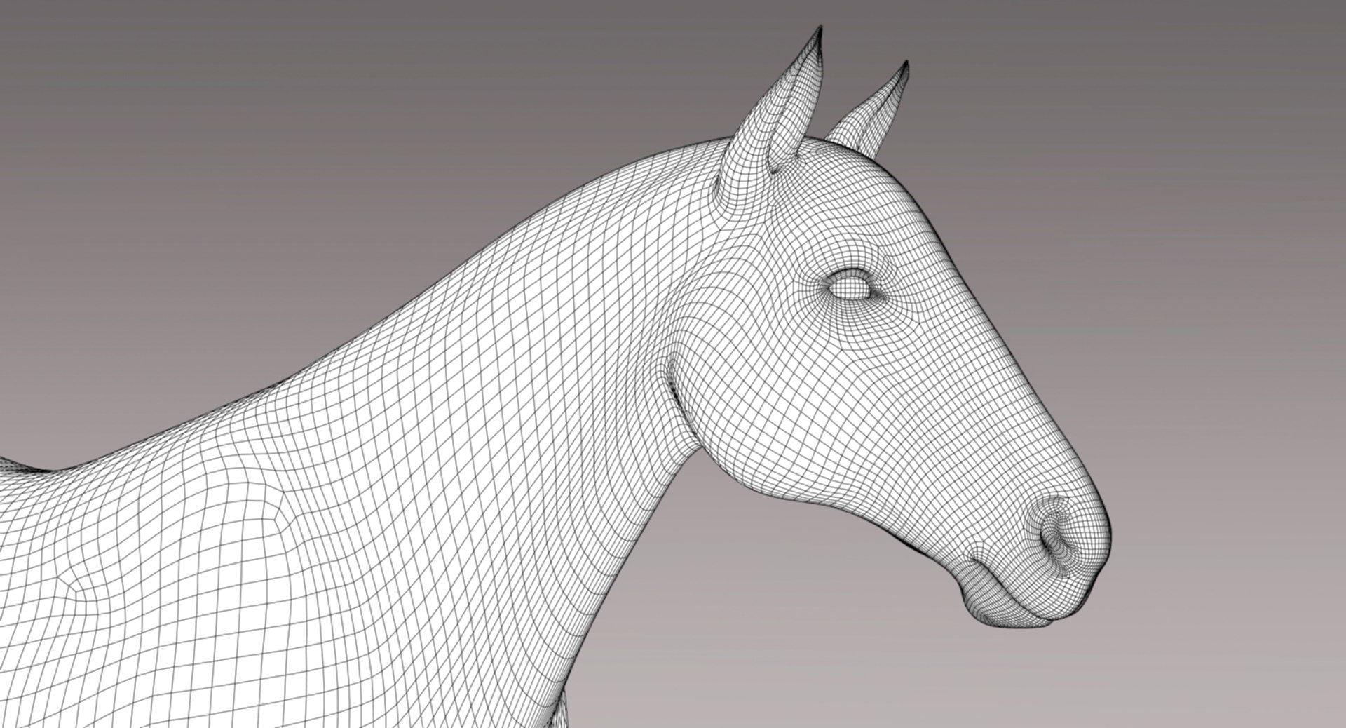 horse black fur animation ma https://p.turbosquid.com/ts-thumb/ZK/eadgTT/hZHoCOMR/wire3/jpg/1431242801/1920x1080/fit_q87/5b4df1f31f574e55df979555a0bc29ca1f0d7ddd/wire3.jpg