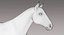 Horse (Black) (Animated) (Fur)