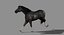 Horse (Black) (Animated) (Fur)