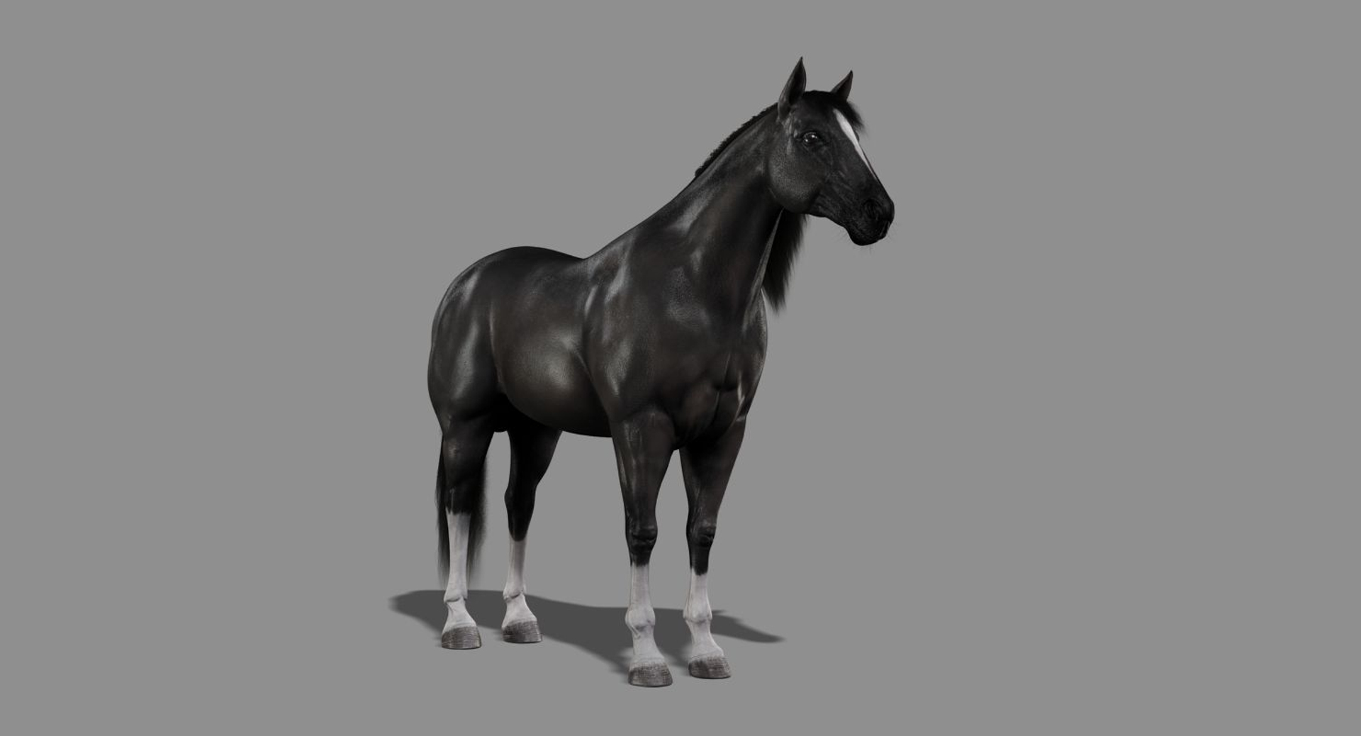 horse black fur animation ma https://p.turbosquid.com/ts-thumb/ZK/eadgTT/oPXRtY18/death/jpg/1431998936/1920x1080/turn_fit_q99/e38f80fb0b2ce6511b64107406f0b83f3059c0b7/death-1.jpg