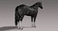 Horse (Black) (Animated) (Fur)