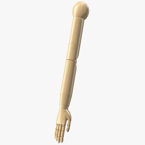 Mannequin Wooden Hand Rigged model