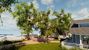 blender porch house tree bushes model