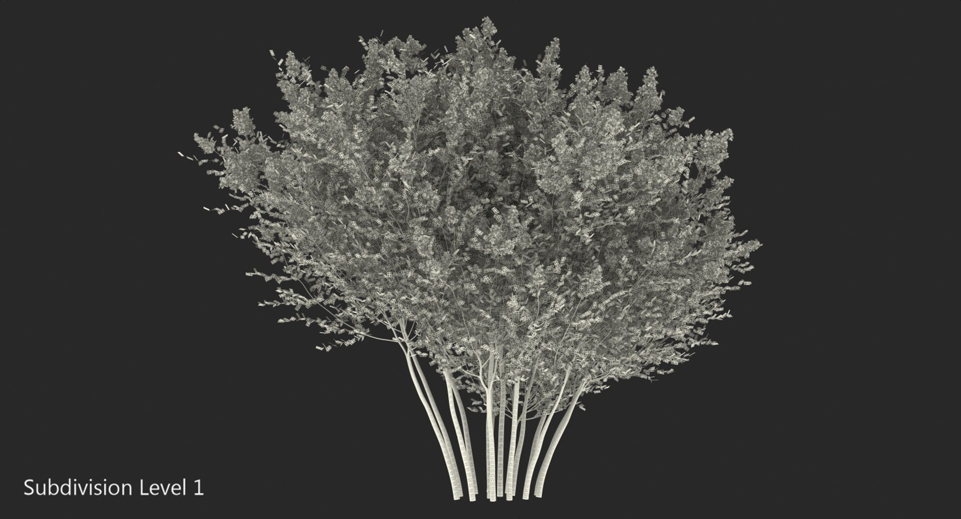 3D red crepe myrtle tree https://p.turbosquid.com/ts-thumb/ZL/AEZDy2/jjUZoYX5/redcrepemyrtletreec4dmodel014/jpg/1552863682/1920x1080/fit_q87/cd90d3afd3484126e532e32d2c69ebb7b383be19/redcrepemyrtletreec4dmodel014.jpg