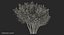 Red Crepe Myrtle Tree 3D Model