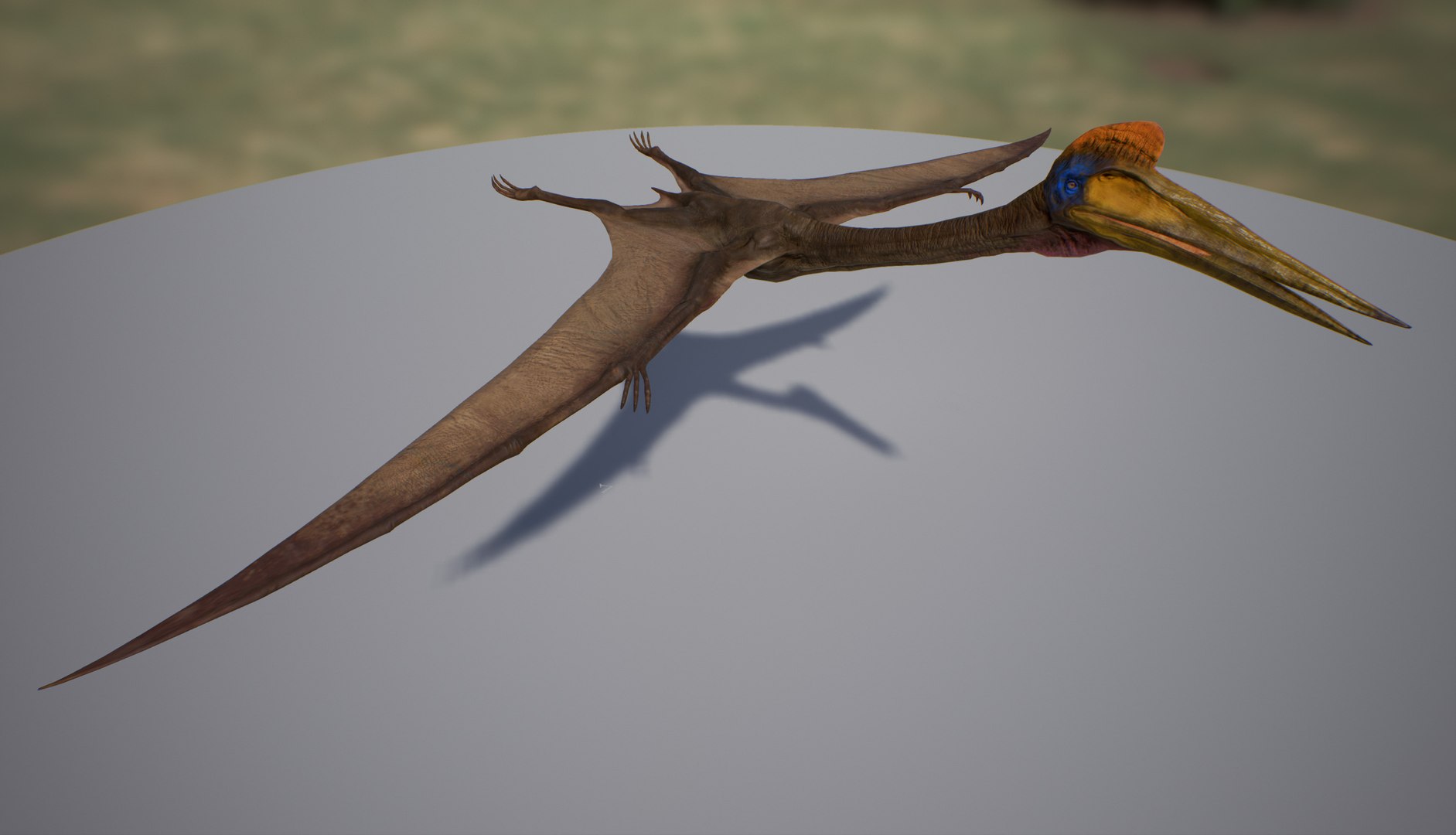 Quetzalcoatlus Unreal Asset 3D Model - TurboSquid 1278745