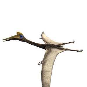 quetzalcoatlus unreal asset 3D model