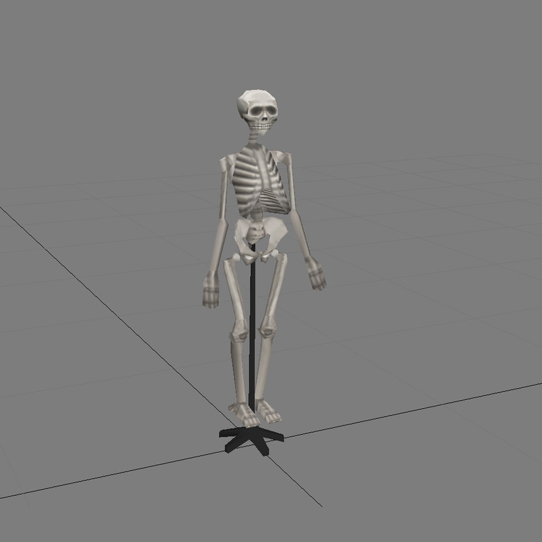 Human Skeleton - 3d Max