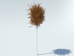 free max mode realistic aspen tree