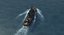 Slava Class Cruiser