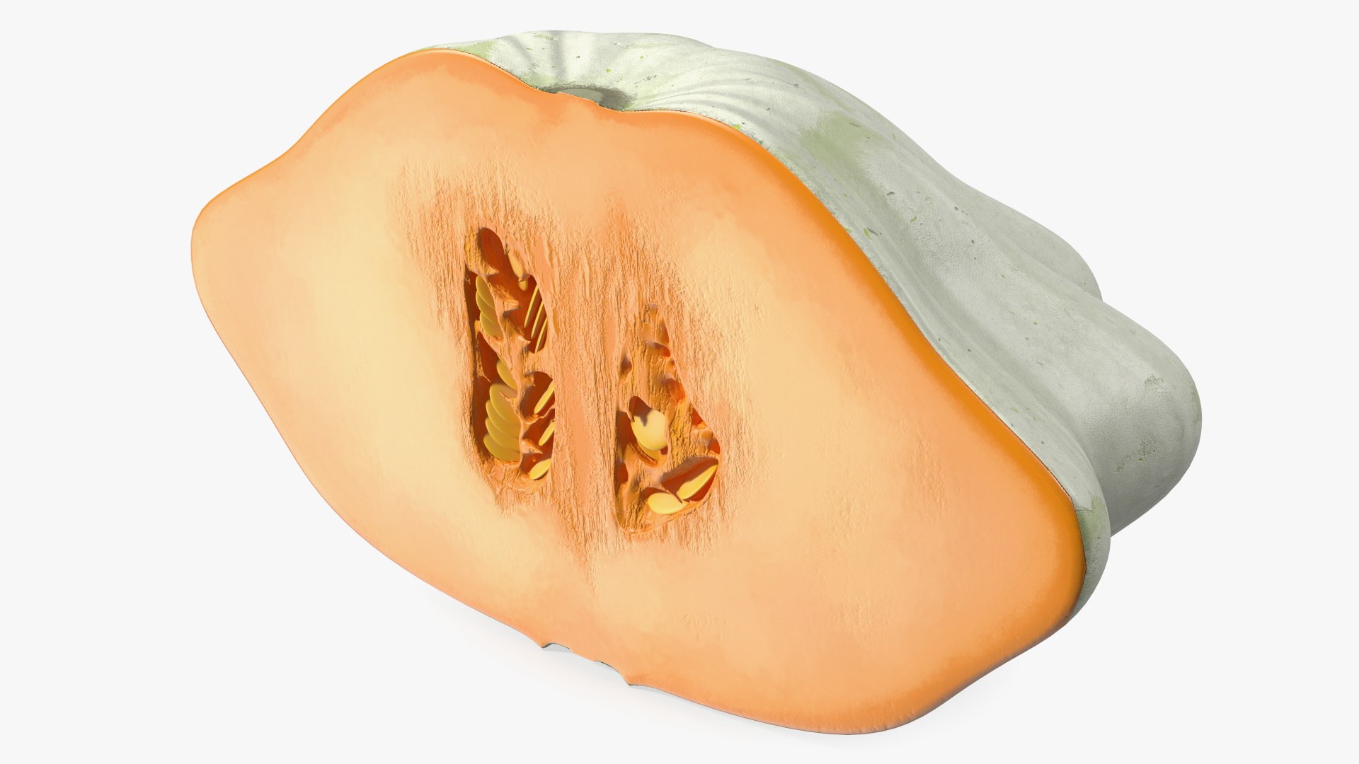 Half of White Bush Pumpkin 3D model preview