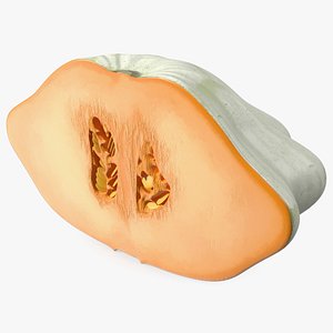 3D Half of White Bush Pumpkin model