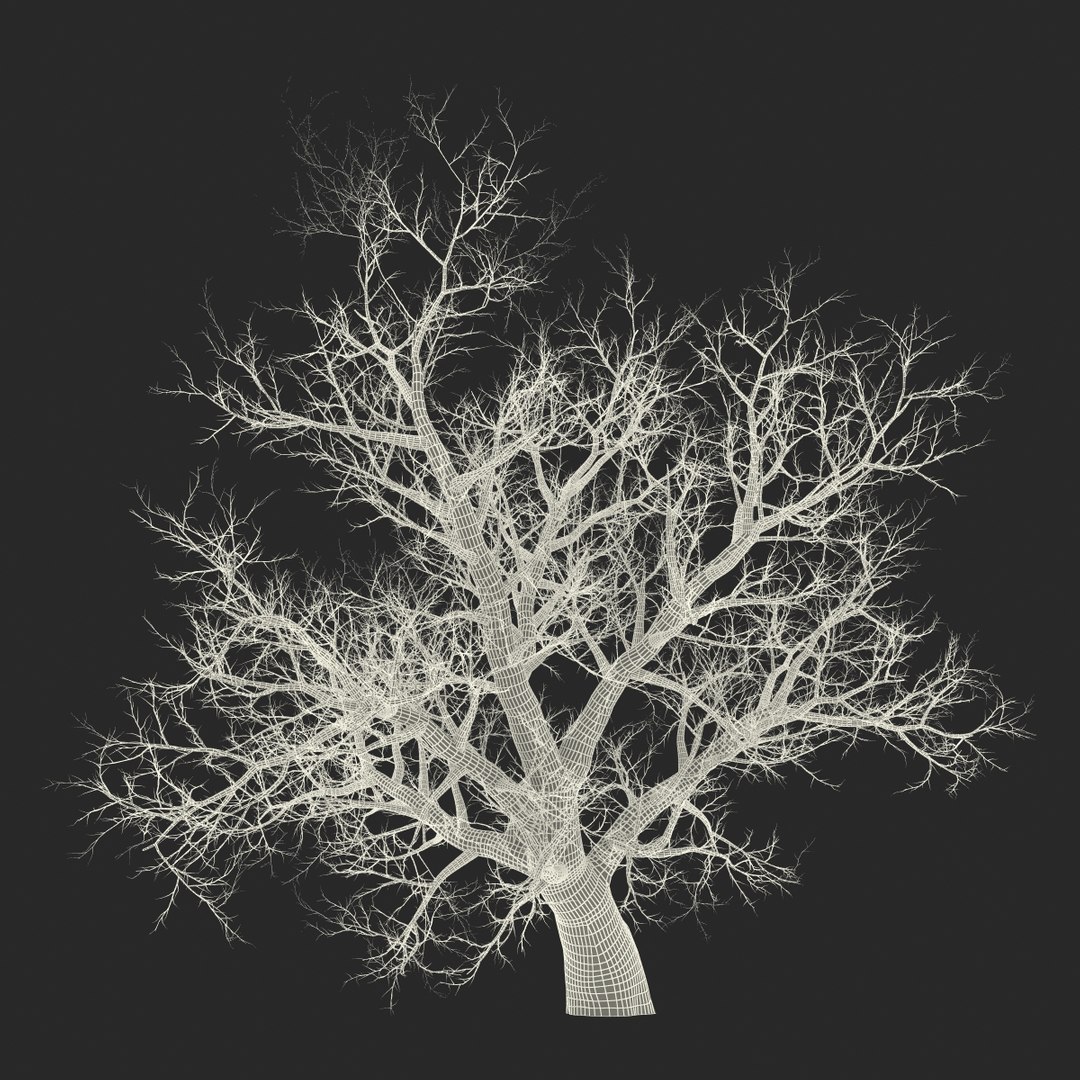old red maple tree 3ds https://p.turbosquid.com/ts-thumb/ZM/IsUABV/7A32vT2x/oldredmapletreewinter3dmodel21/jpg/1444393159/1920x1080/fit_q87/64e8f643f48716e11feee89f78d657c294ed7604/oldredmapletreewinter3dmodel21.jpg