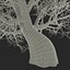Old Red Maple Tree Winter Modèle 3D
