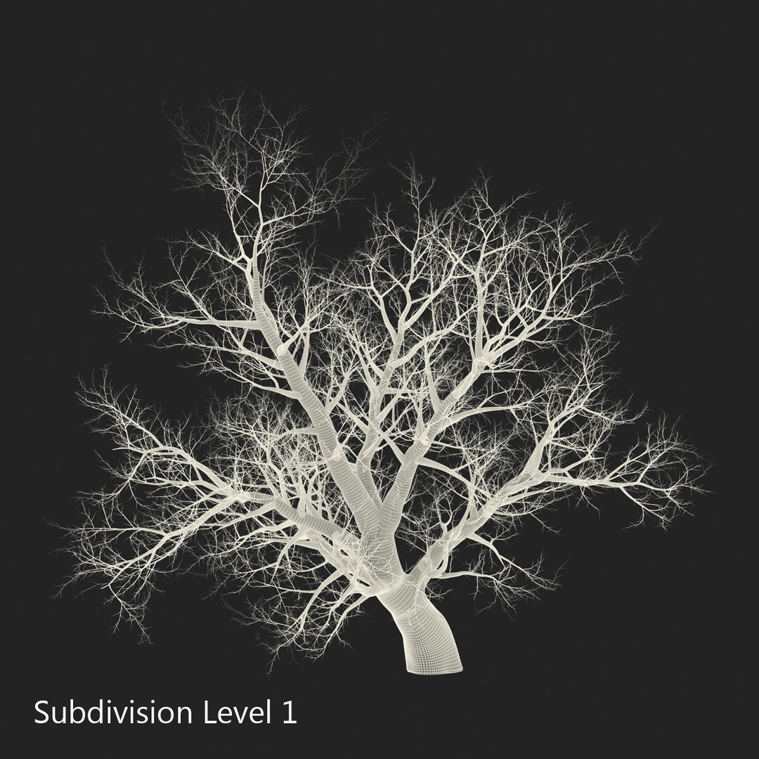 old red maple tree 3ds https://p.turbosquid.com/ts-thumb/ZM/IsUABV/QOO0lMgE/oldredmapletreewinter3dmodel16/jpg/1444393159/1920x1080/fit_q87/3e432fc48e335dadfa8f06ab03a1a0fae5dc2679/oldredmapletreewinter3dmodel16.jpg