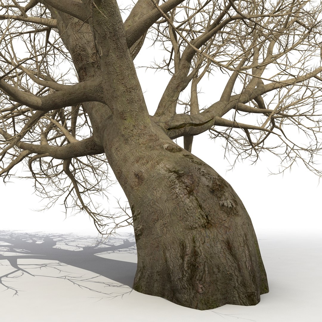 old red maple tree 3ds https://p.turbosquid.com/ts-thumb/ZM/IsUABV/RTVMApDG/oldredmapletreewinter3dmodel11/jpg/1444393158/1920x1080/fit_q87/d6c4afeb84802aafaace6a3487fee563989ddb77/oldredmapletreewinter3dmodel11.jpg