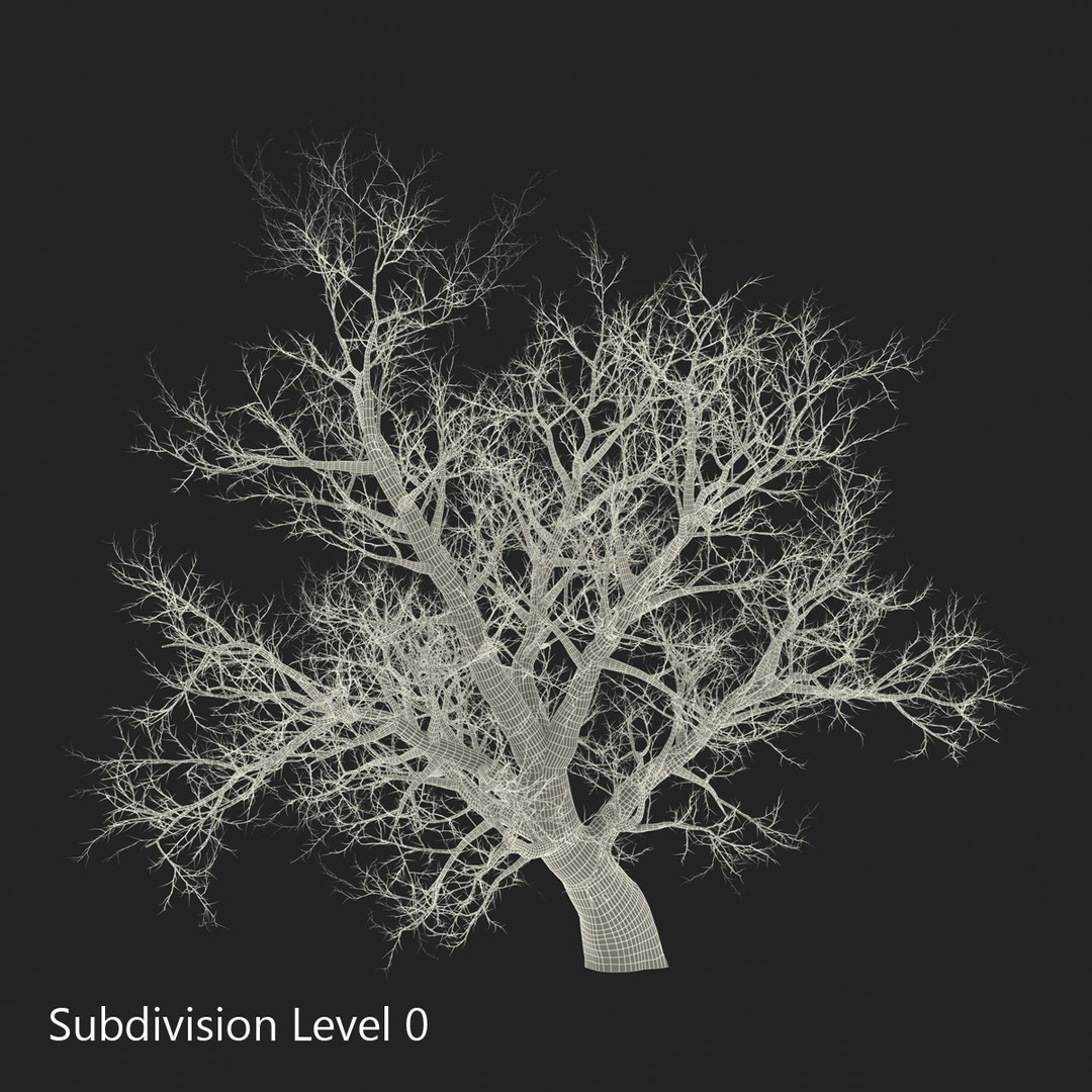 old red maple tree 3ds https://p.turbosquid.com/ts-thumb/ZM/IsUABV/fMUKvUoJ/oldredmapletreewinter3dmodel15/jpg/1444393159/1920x1080/fit_q87/8f8b2742bab8f2f79245c698982572fac6523701/oldredmapletreewinter3dmodel15.jpg