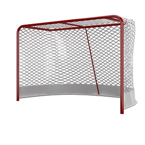 hockey net model
