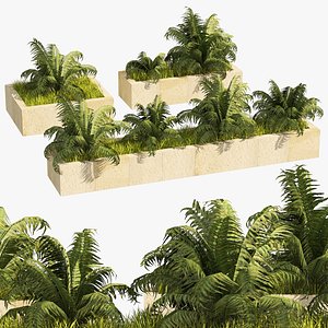 3 Street border  swordfern plant low poly