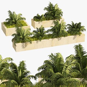 3 Street border  swordfern plant low poly