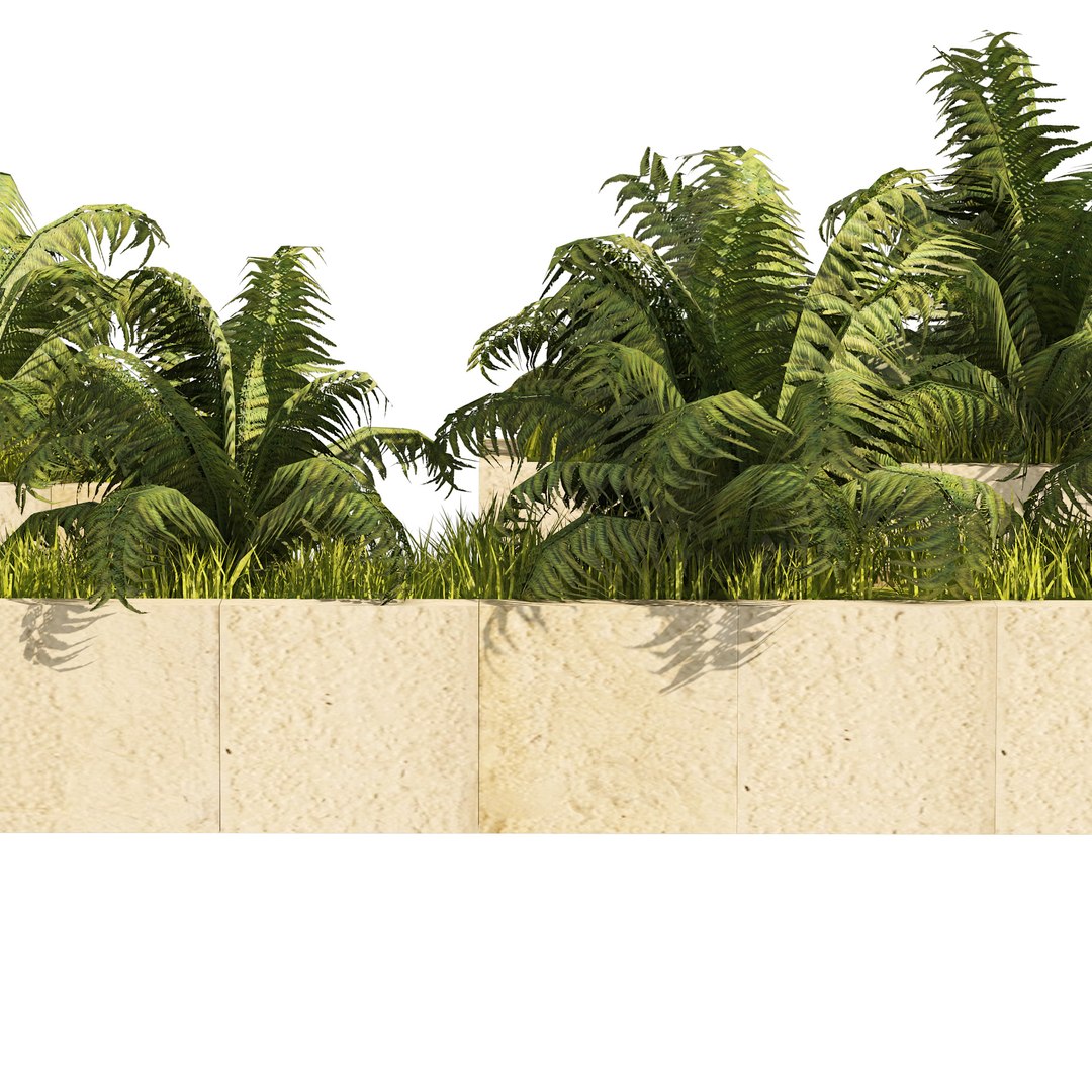 3 Street border  swordfern plant low poly 3D https://p.turbosquid.com/ts-thumb/ZM/f8oK35/gJ/08pp/jpg/1655598921/1920x1080/fit_q87/f013afacef0d4e2aee7a94c93fe6bdfce8ef0e22/08pp.jpg