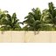 3 Straßenrand-Schwertfarnpflanze Low Poly