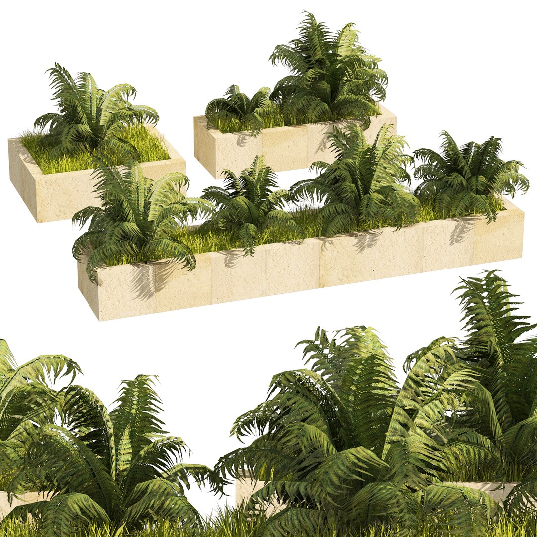3 Street border  swordfern plant low poly 3D https://p.turbosquid.com/ts-thumb/ZM/f8oK35/so/cover0202/jpg/1655599000/1920x1080/fit_q87/22969af6997f4997e1888c4e930a5373b71d875f/cover0202.jpg