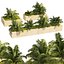 3 Straßenrand-Schwertfarnpflanze Low Poly