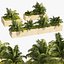 3 Straßenrand-Schwertfarnpflanze Low Poly