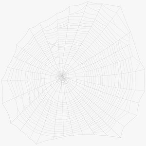 spider web 3d model