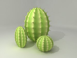 3ds max cactus