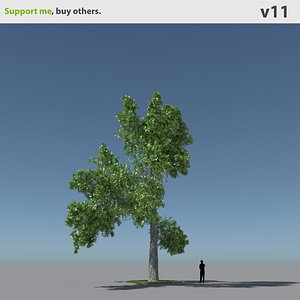 tree oak v11 max free