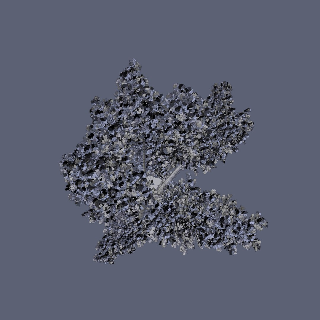 tree oak v11 max free https://p.turbosquid.com/ts-thumb/ZN/KJRzKJ/V69HHiZm/tree_v11_wire_02/jpg/1405161590/1920x1080/fit_q87/ef23d73c7b4664786ed0789f0f355f219ce30e66/tree_v11_wire_02.jpg