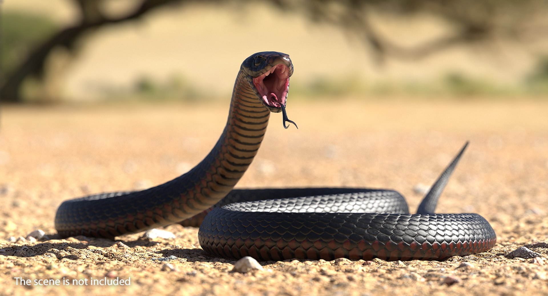 Snakes Big Rigged Collection for Cinema 4D 3D model preview