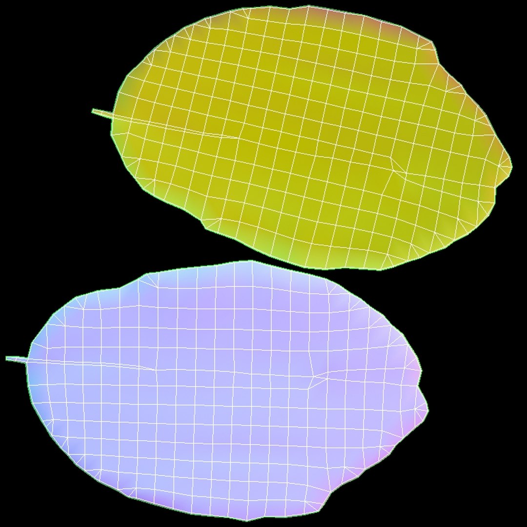 Parrotia Persica summer leaf - Persian Ironwood model https://p.turbosquid.com/ts-thumb/ZN/UMCdBS/BF/x_uv2/jpg/1732891167/1920x1080/fit_q87/397030aa38853fa3ca1f630938503c8b66107412/x_uv2.jpg