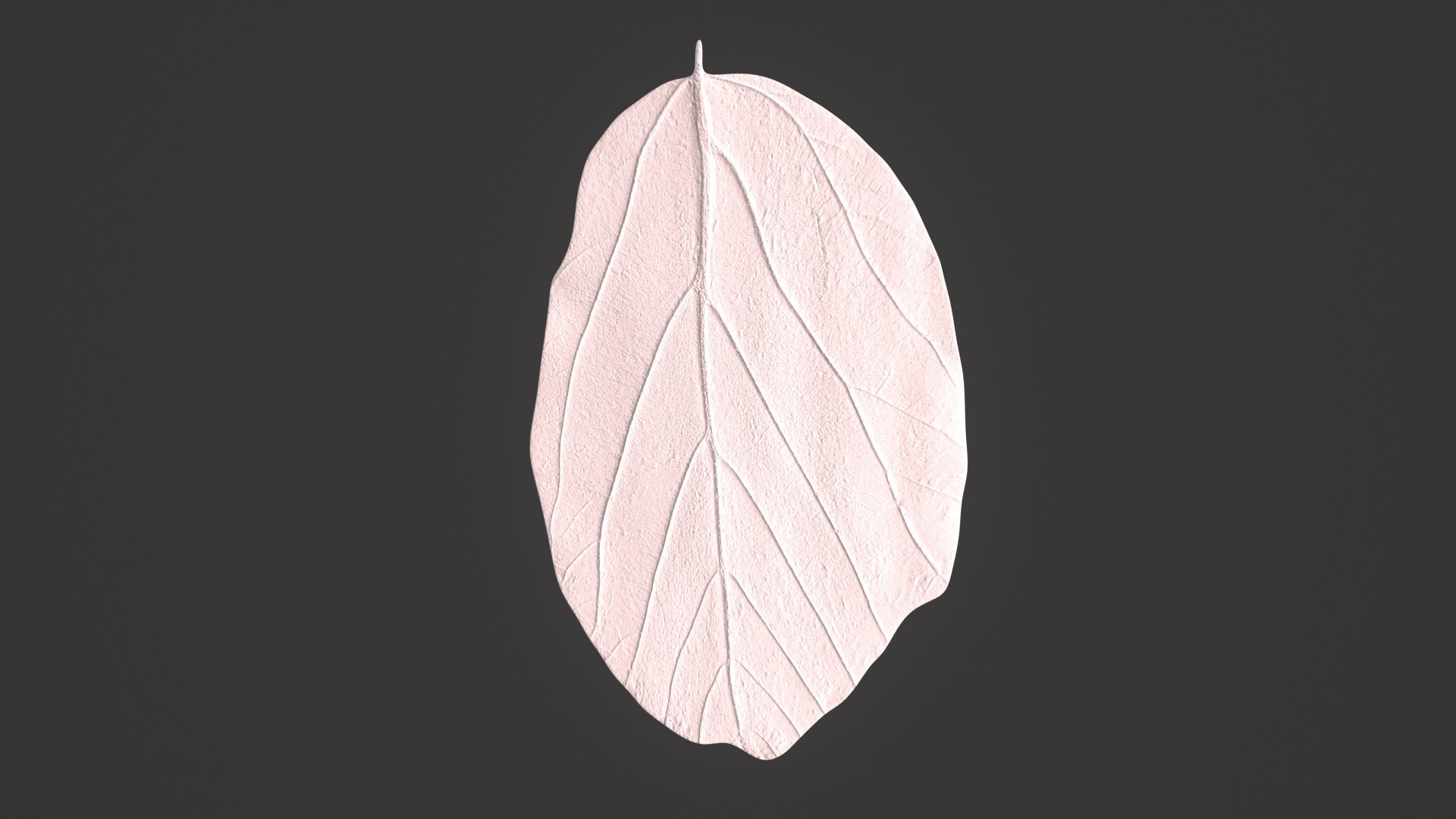 Parrotia Persica summer leaf - Persian Ironwood model https://p.turbosquid.com/ts-thumb/ZN/UMCdBS/KR/x__viewport_002/jpg/1732891167/1920x1080/fit_q87/ebecc2ee7efd36f9197beeba4990f060467d5e63/x__viewport_002.jpg