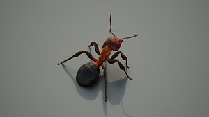 Ant 3D model
