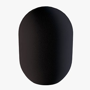 Microphone Pop Filter 3D