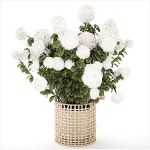 White Hydrangea flower bushes rattan basket decor pot 3D model