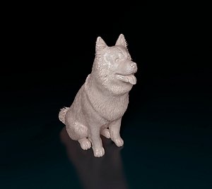 Chow Chow dog 3D model