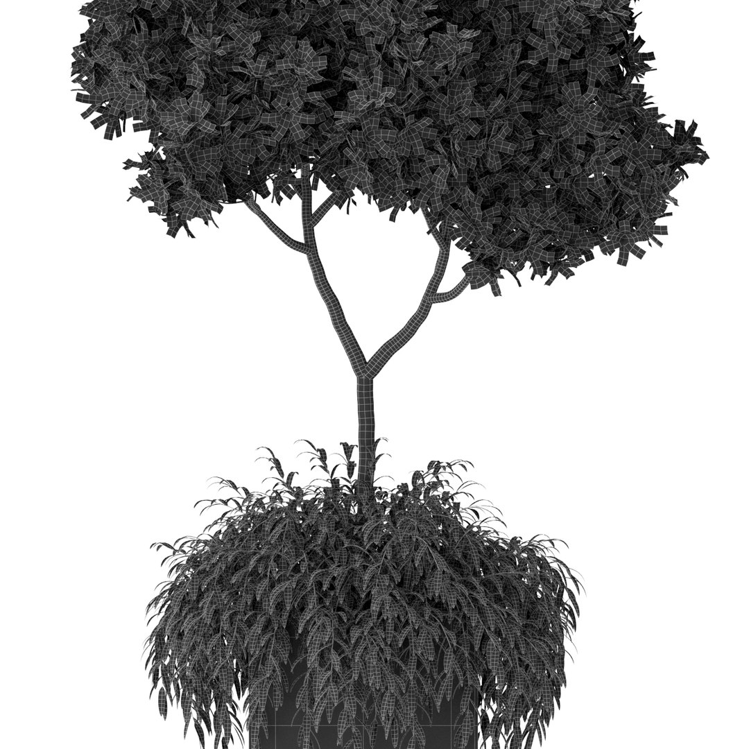 3D dracaena ficus flower model https://p.turbosquid.com/ts-thumb/ZN/x1QfCr/5q12Lwxe/plant_389_05/jpg/1606579401/1920x1080/fit_q87/c3057fe6cf797e1d550f1fe7a18b92d1711e2c68/plant_389_05.jpg