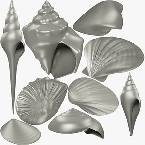 Seashells Meshes Collection V1