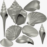 Seashells Meshes Collection V1