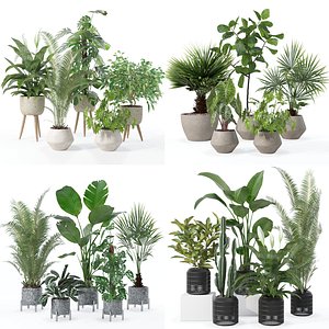 20 Photorealistic Flowers for Interiors - set 121 126 130 134