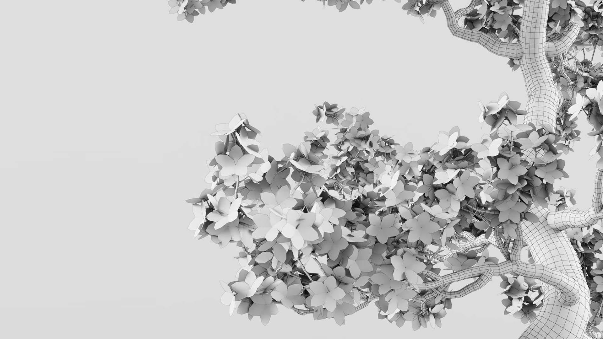 sakura bonsai tree 3D model https://p.turbosquid.com/ts-thumb/ZO/E9LgXz/6B/preview9_/jpg/1614876285/1920x1080/fit_q87/24eec5fdd79cc13cc0c0eb5437742021bb1b534d/preview9_.jpg