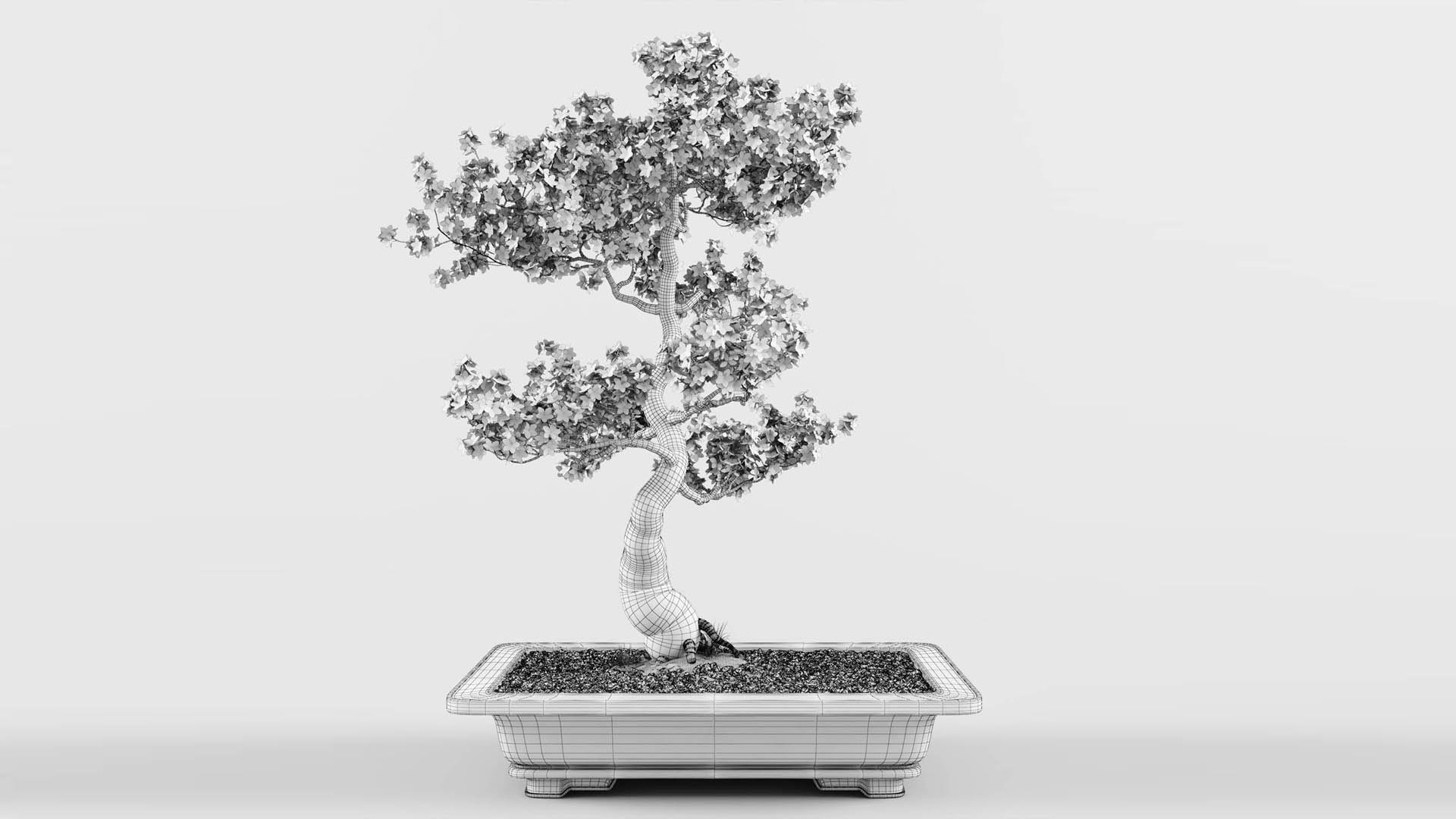 sakura bonsai tree 3D model https://p.turbosquid.com/ts-thumb/ZO/E9LgXz/ht/preview7_/jpg/1614876284/1920x1080/fit_q87/3da1b0875718416066e32a52657f3d38717aaf02/preview7_.jpg