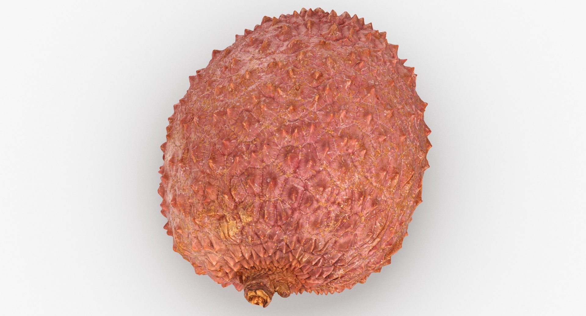 3D Lychees Collection 02 - 3 models model - TurboSquid 1794528