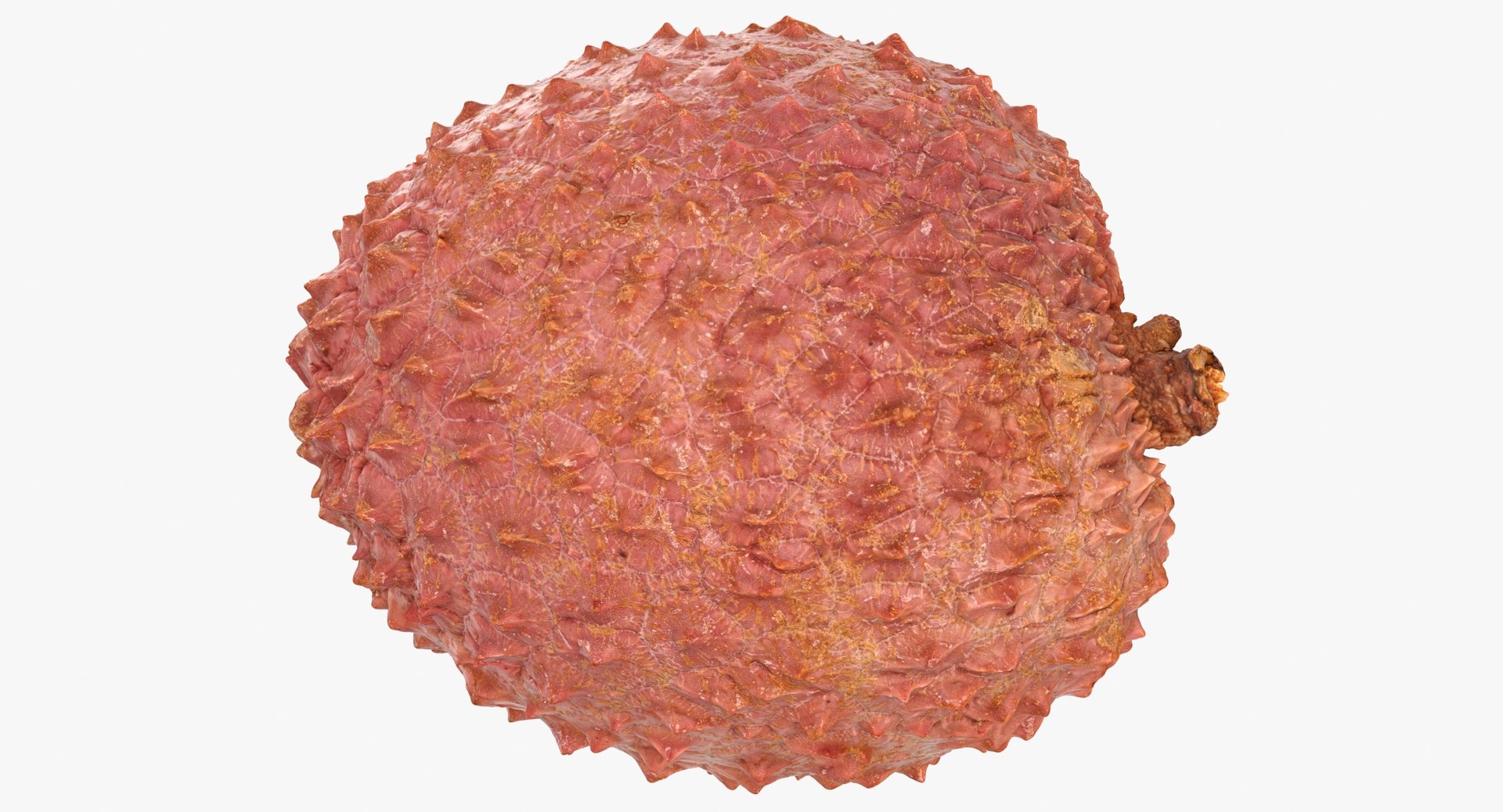 3D Lychees Collection 02 - 3 models model - TurboSquid 1794528